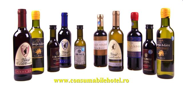 tired novelty Blaze Sticle de vin in miniatura, palica, horinca, tuica - Minibar Camera -  Consumabile Hotel